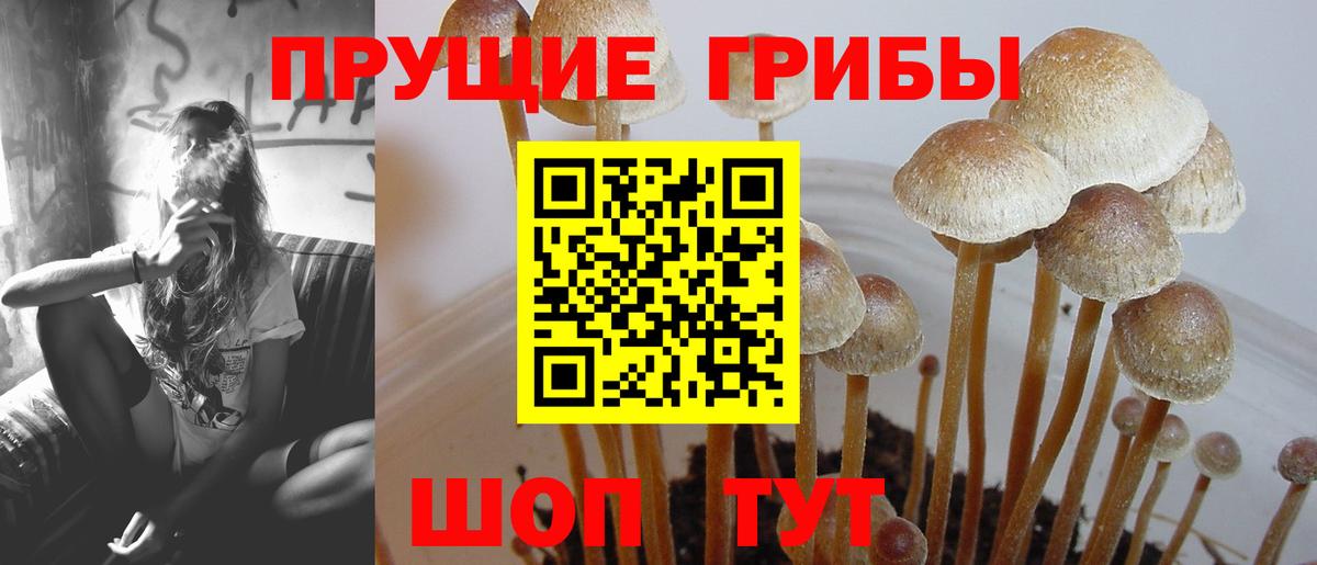 Галлюциногенные грибы Magic Shrooms  Псилоцибиновые грибы Magic Shrooms  Вход с VPN  Ростов Великий 